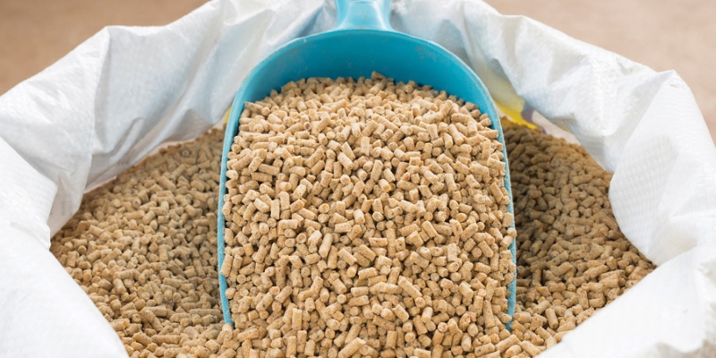 Animal Feed